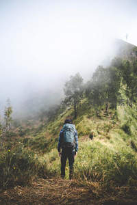 雾中行者，踏进云海的秘境之旅