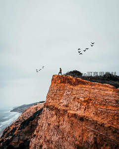 悬崖孤影与飞鸟共舞天际