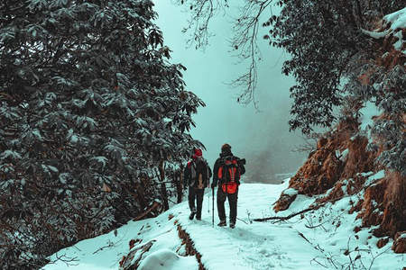 雪径双行，林间探险之旅
