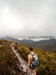 雾中踏山路，三人同行探秘野花径