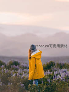 花海中的黄色雨衣背影