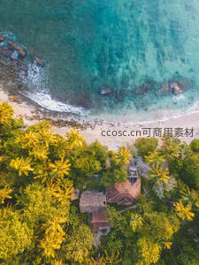 航拍热带海岸椰林小屋