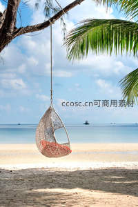 椰树下吊篮摇曳，静享热带海滩阳光
