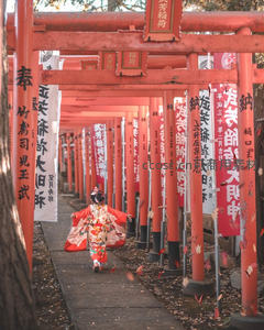 红鸟居下的和服少女，秋叶纷飞如梦