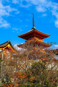 蓝天映衬古塔，秋色斑斓的寺庙庭院