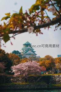 樱花掩映下的大阪城春日盛景