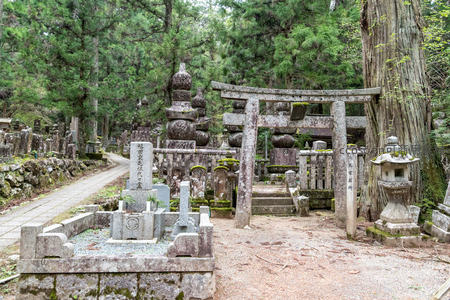 森林中的古老墓园