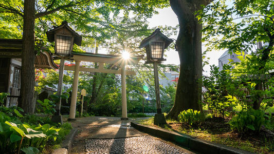 阳光穿透鸟居：神社静谧晨景
