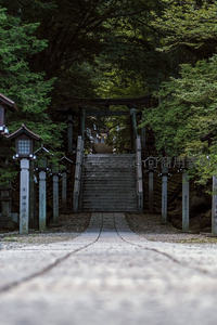 林间神社鸟居阶梯通幽处