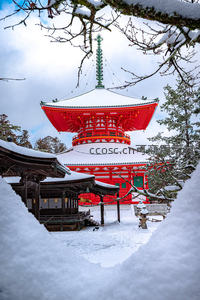 透过雪洞窥探，红塔古寺的冬日秘境