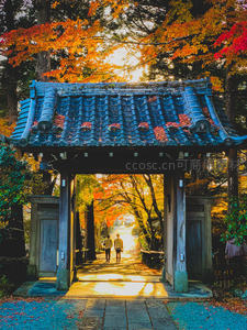 秋日古寺门廊，红叶映衬行人归路
