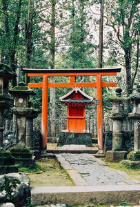 森林深处鸟居，静谧神社小径