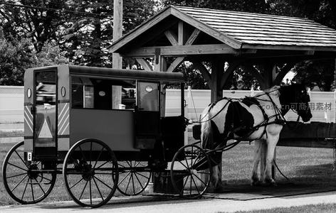 黑白马车静候时光