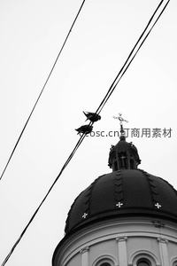 教堂穹顶与电线上的飞鸟黑白构图
