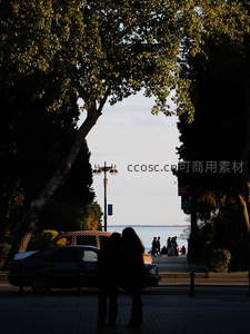 树影斑驳下的海边剪影情侣