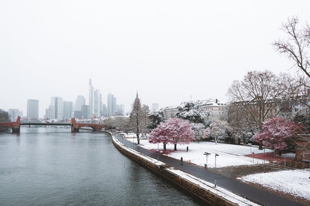 雪覆河岸与粉樱的城市冬景