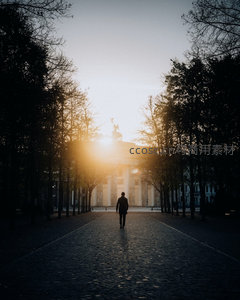黄昏时分，孤影漫步于林荫大道尽头