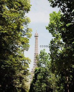 绿树掩映下的埃菲尔铁塔