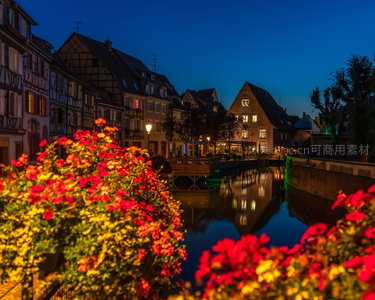 夜色中的花丛与倒影水道