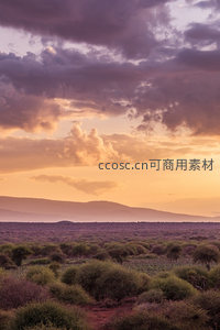 紫霞满天荒野暮色