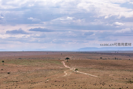 广袤草原上的蜿蜒土路与稀树景观
