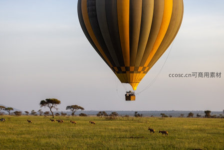 热气球飘过草原上空观野生动物