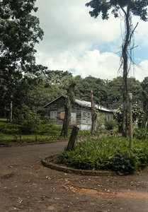 林间木屋静谧如画