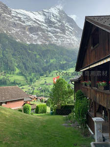 阿尔卑斯山麓，木屋静卧绿野花田中
