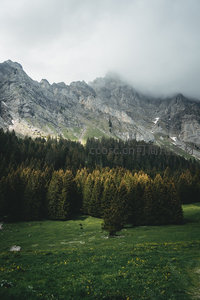 云雾笼罩的巍峨山峰与森林草地