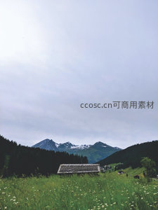 高山草甸上的孤寂木屋风景