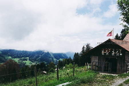 山间农舍与云海山谷，德意志风格彩绘牛图案小屋