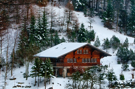 木屋隐于雪林间，静谧山居享冬日