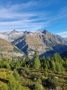 阳光洒落冰川雪山群峰，松林坡地层叠映衬蔚蓝苍穹