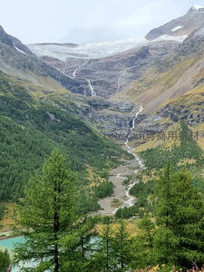 冰川融水汇入山谷绿林，高山雪峰与翠谷相映成趣