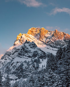 阳光洒落雪岩峭壁，松林覆雪映衬巍峨山脊线