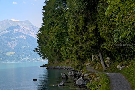湖畔林荫小径与远山倒影的宁静夏日风光