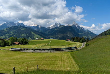 阿尔卑斯山脚下绿野中穿行的观光列车