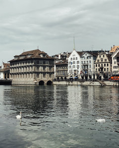 利马特河畔 historic 建筑群与悠然天鹅