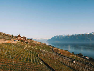 瑞士拉沃葡萄园梯田航拍，日内瓦湖与阿尔卑斯山壮丽同框