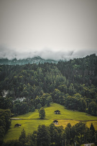 云雾缭绕森林中的静谧田园小屋群落