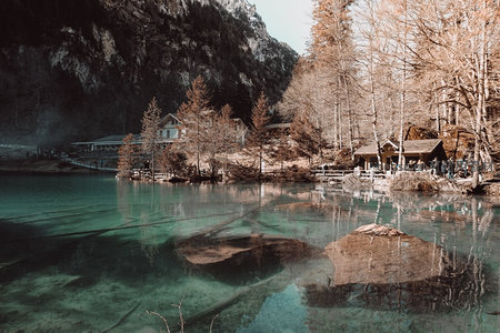 湖畔木屋群落临水而建，游人闲坐秋林光影中