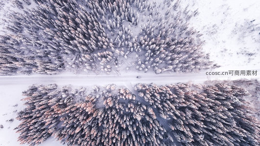 雪覆松林航拍图：笔直公路穿越银装森林，孤车驶向远方