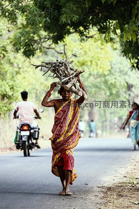 印度乡村妇女头顶柴捆行走乡间小路，传统服饰与自然光影交织