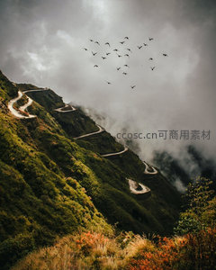 云雾缭绕山间盘山公路，鸟群翱翔于苍翠峰峦之上