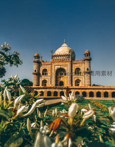 萨夫达尔琼陵墓前景白花微距特写，背景穹顶在湛蓝天空下庄重肃穆