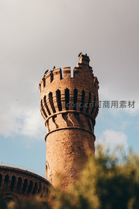 砖砌瞭望塔特写，雉堞结构雄伟，飞鸟栖息其上，蓝天白云映衬古韵