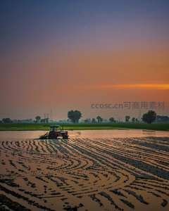 黎明时分拖拉机耕作水田，波纹状泥痕与渐变天际线构成田园诗画