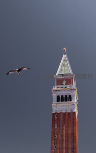 圣马可钟楼尖顶与飞掠海鸥的戏剧性瞬间