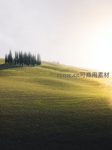 托斯卡纳丘陵日出时分，柏树成簇点缀翠绿起伏山岗