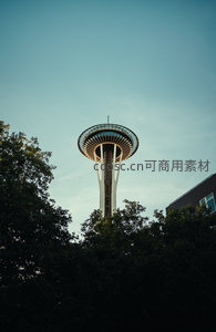 西雅图太空针塔穿林而立，青空下现代结构与绿意共生